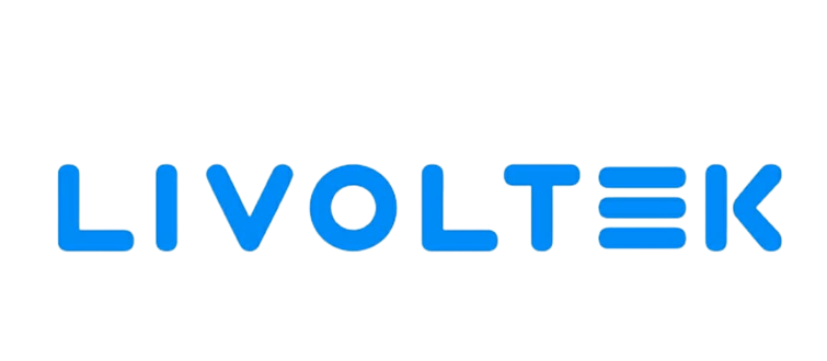 A_Solar_Siste_Trabalha_com_Equipamentos_Livoltek-removebg-preview-1.png