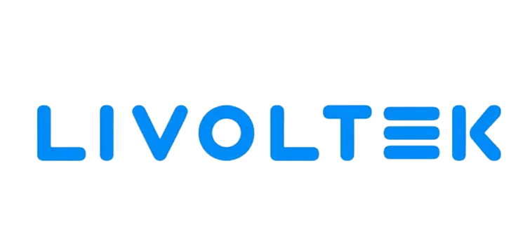 A_Solar_Siste_Trabalha_com_Equipamentos_Livoltek-removebg-preview-1.png